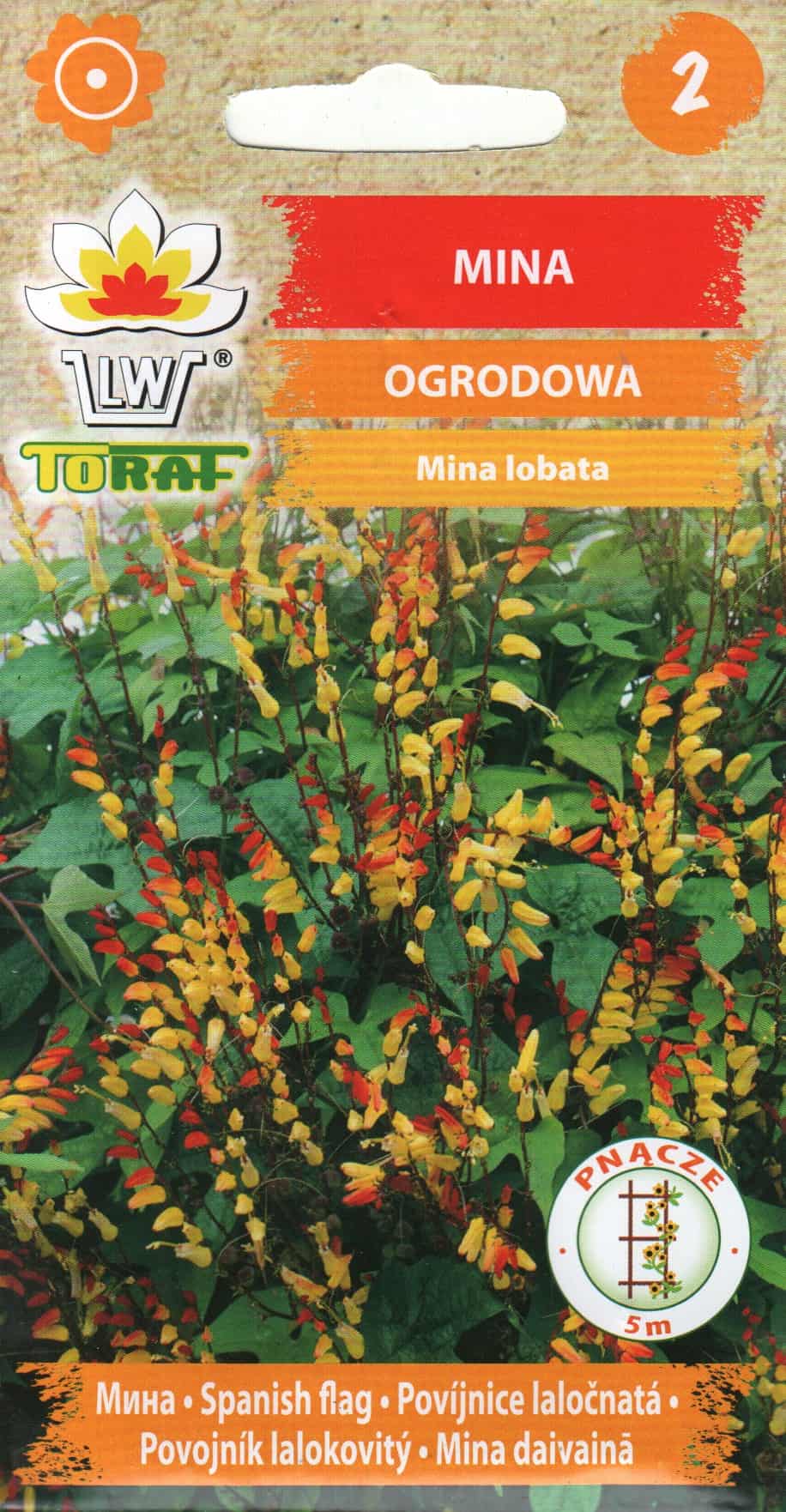 Miina ehk hõlmine lehtertapp