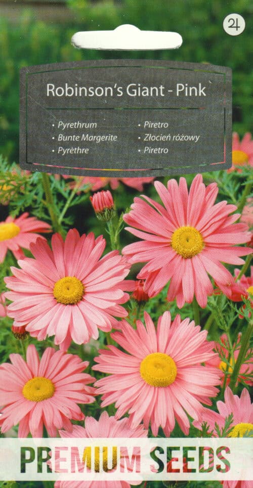 Roosa neitsikummel "Robinson`s Giant Pink"