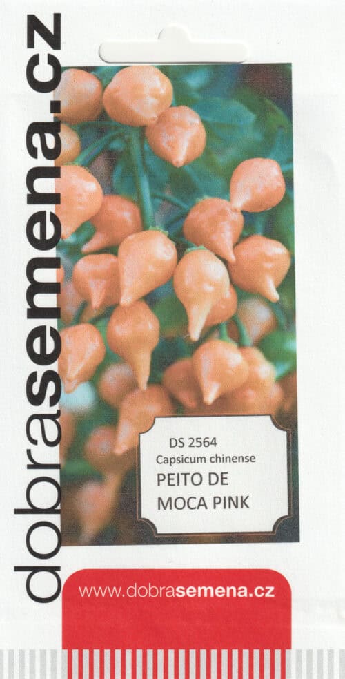 Kariibi paprika "Peito de Moca Pink"