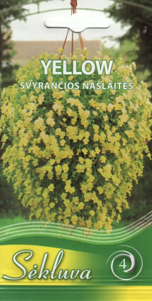 Amplikannike "Yellow"