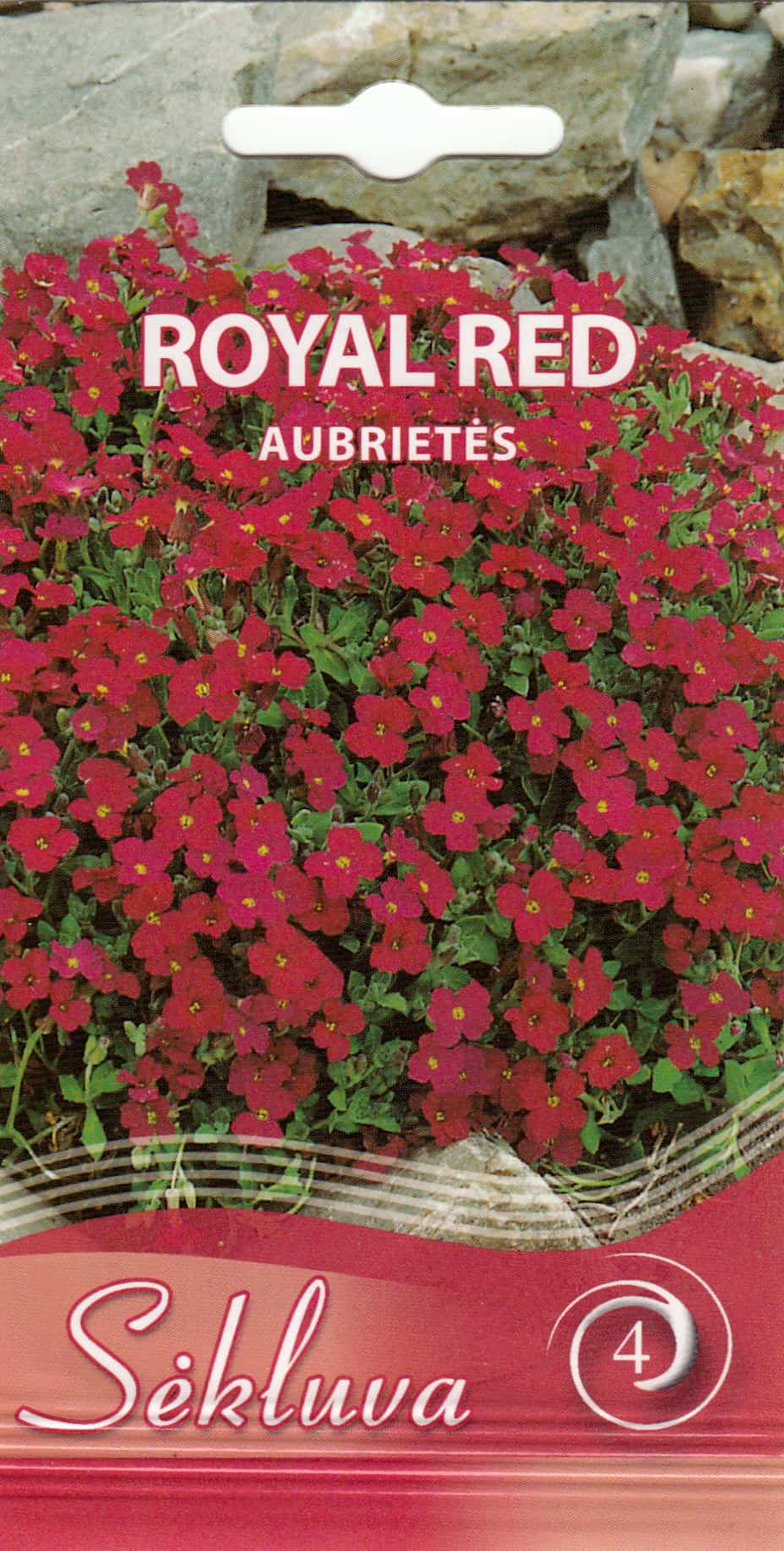 Aed-aubrieeta "Royal Red"
