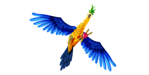 Kakadu Casino Website Review 