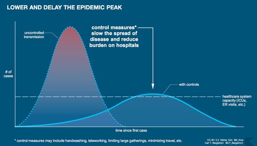 Lower and delay the epidemic peak by flattening the curve