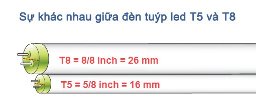 Sự khác biệt về kích thước đèn tuýp led T8 và đèn tuýp led T5