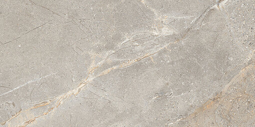 Crust Taupe 24"x48"
