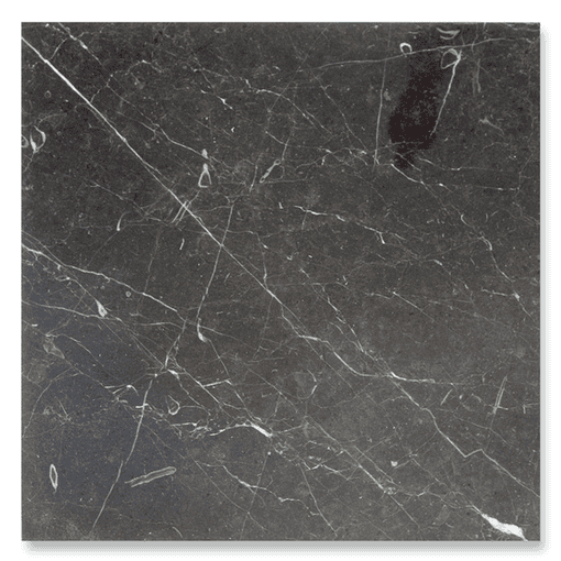 12x12 St Laurent Polished Marble