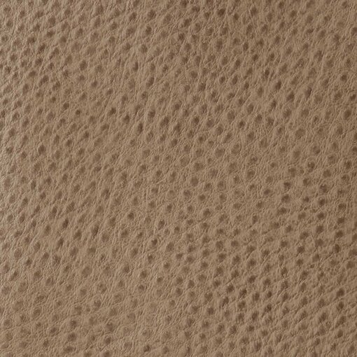 TAUPE-BABY-OSTRICH-compressor ostrich