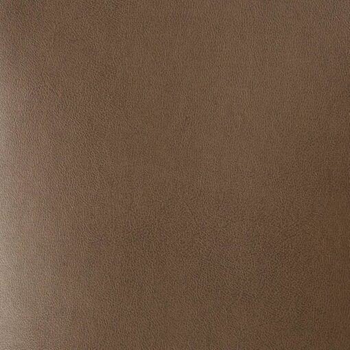 ASH COURIER ash courier leather
