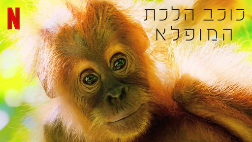 כוכב הלכת המופלא כוכב הלכת המופלא