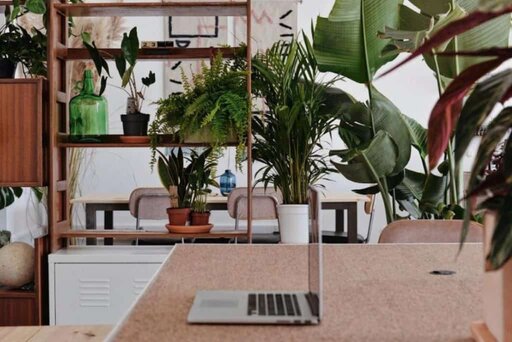 Laptop on a desk surrounded by plants at Kelp Coworking in Ericeira