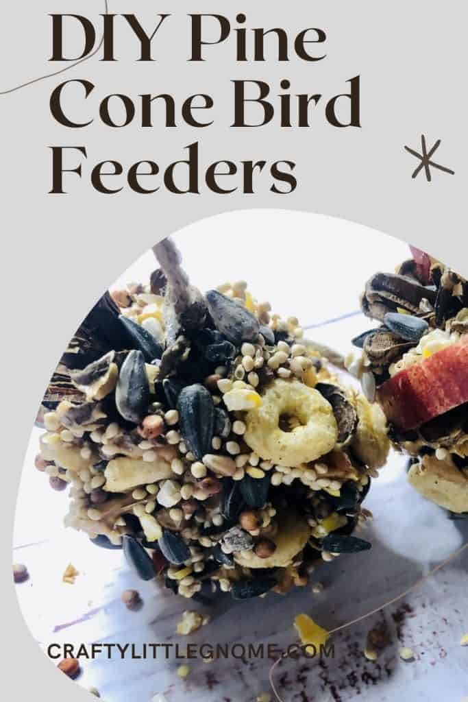 DIY pine cone bird feeder graphic.