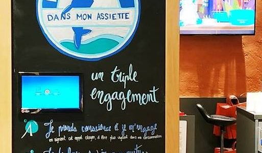 15 400 signatures pour les requins récoltées par les magasins Nature et Découvertes !