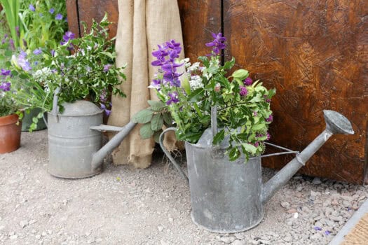 Watering cans
