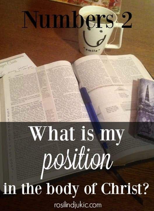 What is my posotion in the body of Christ?