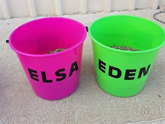 Horse buckets labeled in the post fun with labels