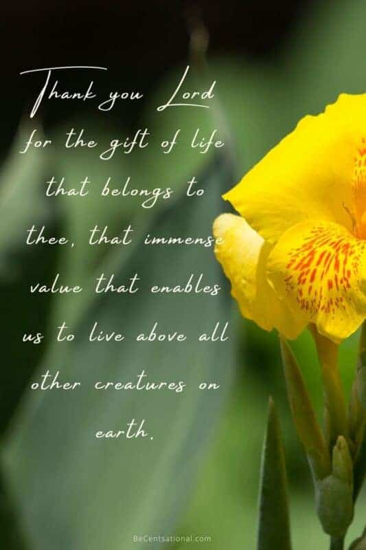 spiritual thankfulness quotes