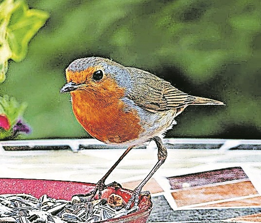 Hilfe in der kalten Zeit