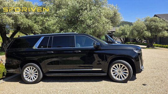 Kenzo Estate Winery Visit | SFDRIVEN Limo Services