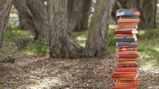 outdoor woodsy nature with books