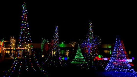 christmas lights