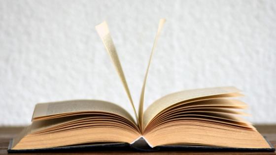 dictionary for perimenopause definition