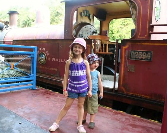 animal kingdom, disney's animal kingdom, wildlife express train, animal kingdom with babies, animal kingdom with toddlers, animal kingdom with preschoolers