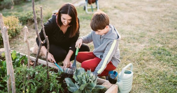 gardening and your home