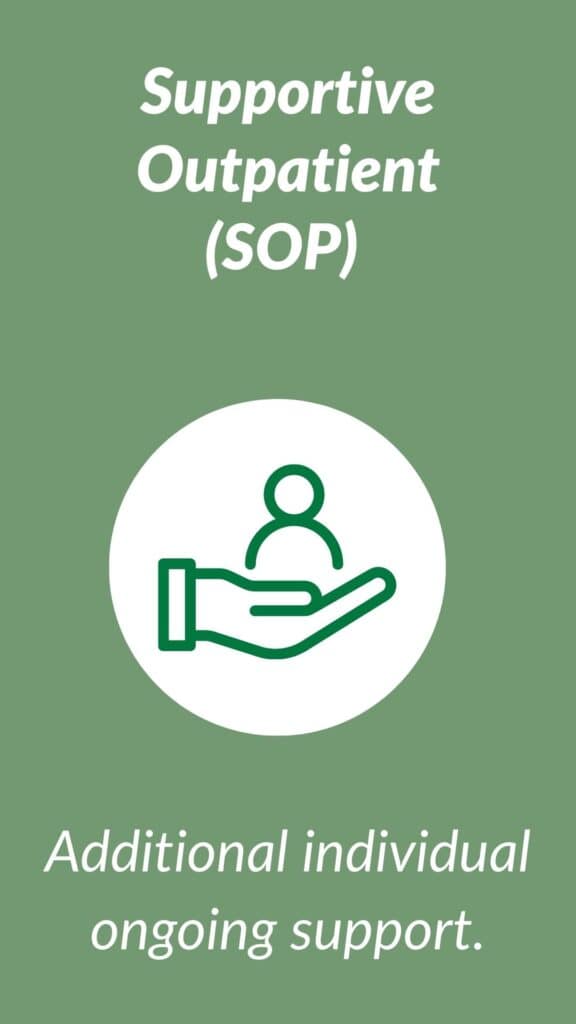 Foundational to Transformational SOP Icon
