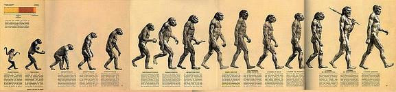 fragment of original march of progress illustartion shows that we evolved from monkeys