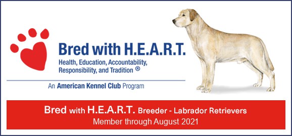 AKC Bred with heart logo AKC Bred with heart logo sierra valley labs