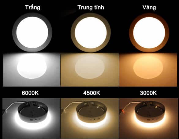 Ánh sáng cùa đèn downlight