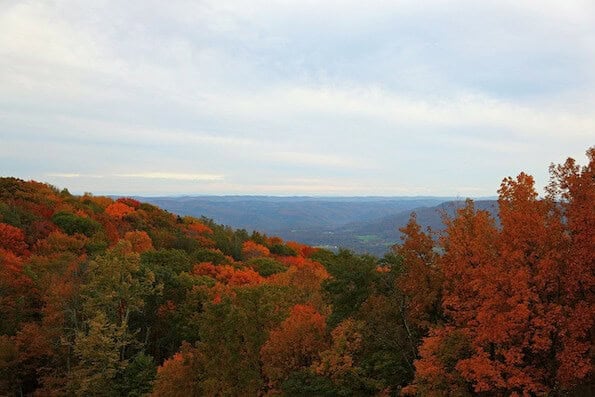 west virginia reeling from opioid crisis