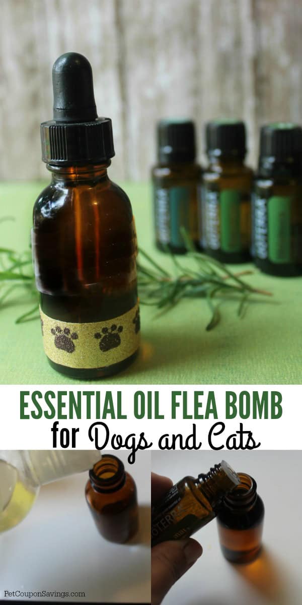 Essential Oil Flea Bomb for Dogs and Cats Pet Coupon Savings