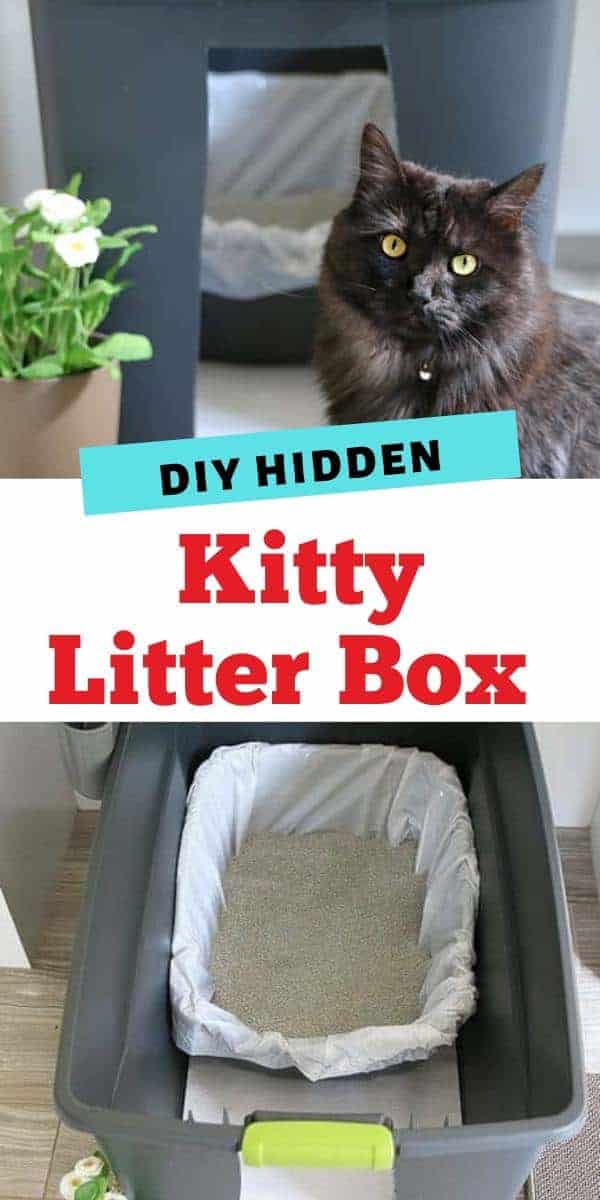 https://sp-ao.shortpixel.ai/client/to_auto,q_lossy,ret_img,w_600,h_1200/https://www.livinglocurto.com/wp-content/uploads/2021/09/Hidden-DIY-Cat-Litter-Box.jpg