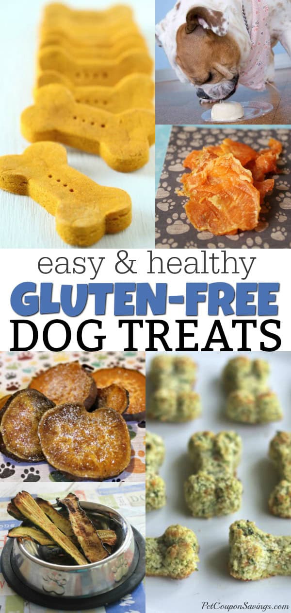 12 Gluten Free Dog Treats Recipes Pet Coupon Savings