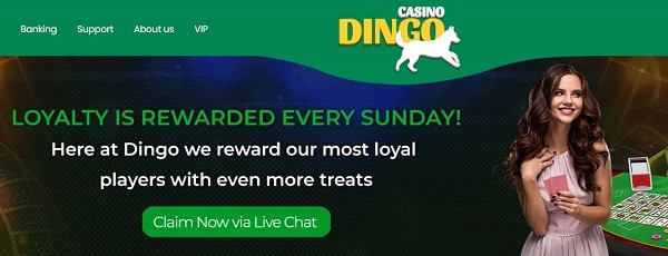 VIP and Loyalty Bonuses 