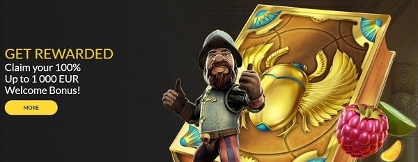 info-bn@1xbet-team. com