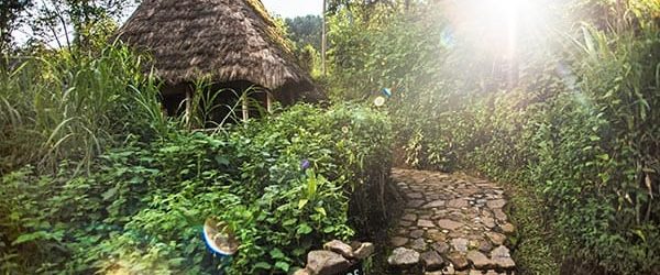 Bwindi Lodge View