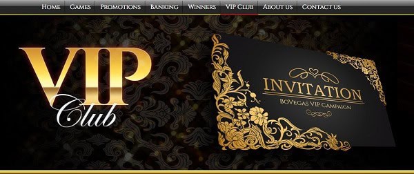 VIP Bonuses