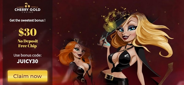 Exclusive Bonus Code for $30 free chip