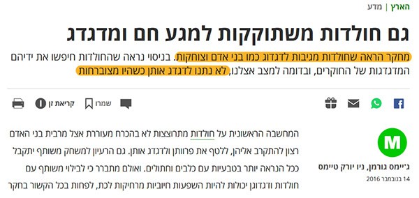 מחקר דגדוג חולדות במארקר 600 מחקר דגדוג חולדות במארקר 600
