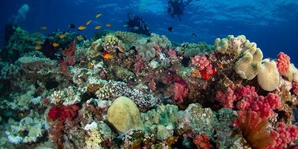 Babou Côté Océan : notre patrimoine commun dans de bonnes mains !