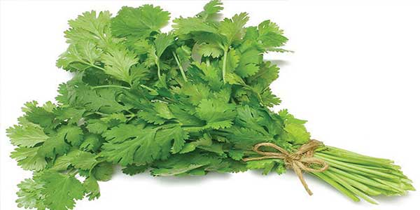 Coriander Powder (Dhaniya Powder) - Uses, Sources, Health BenefitsSide Effects-2