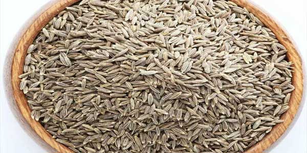 Cumin Seed (Jeera) - Uses, Health Benefits, Side Effects-2