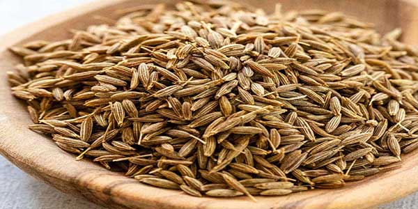 Cumin Seed (Jeera) - Uses, Health Benefits, Side Effects-3