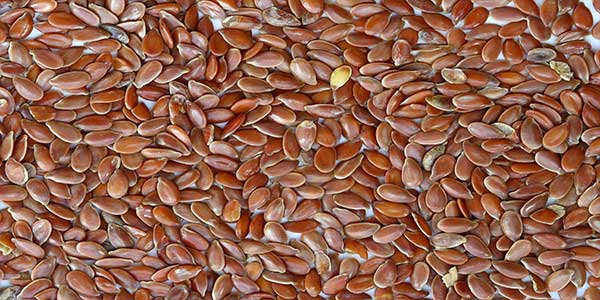 Flax Seeds, Linseed (Alsi) - Health Benefits, Side Effects -3