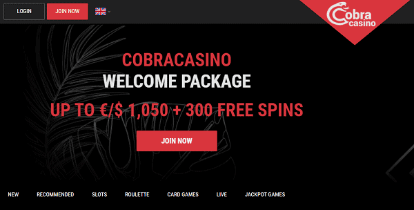 300 Netent Free Spins