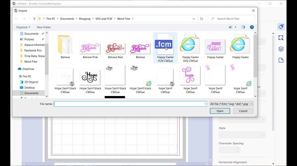 view of the import file screen that comes up after clicking on the SVG icon OR the import from computer selection. Both these choices will add an SVG or FCM file