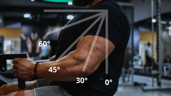 Latissimus trainieren Rudern