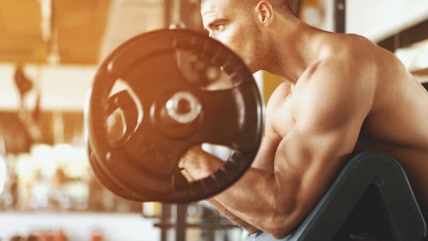 Hammer Curls Brachialis